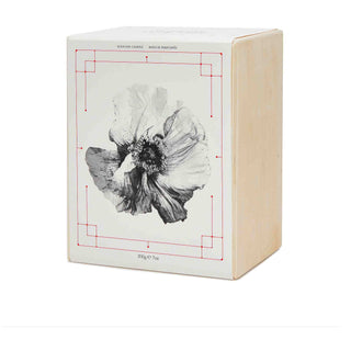 Candela Ghost Flower in Nero - Alexander McQueen - Campomarzio70