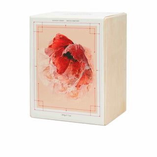 Candela Pagan Rose in Nero - Alexander McQueen - Campomarzio70