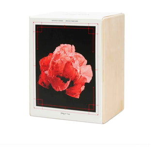 Candela Savage Bloom in Nero - Alexander McQueen - Campomarzio70