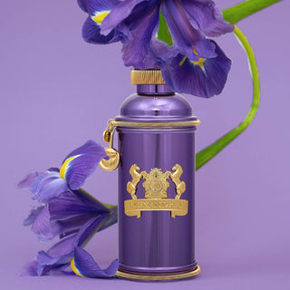 Iris Violet - Alexandre.J