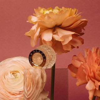 Ode to Rose - Alexandre.J