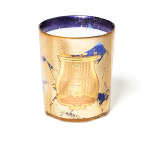 Fir Christmas 2020 - Trudon - Campomarzio70