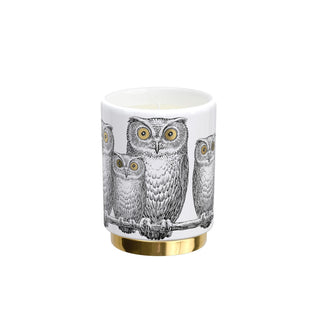 Civette Candle Fragrance Immaginazione - Fornasetti