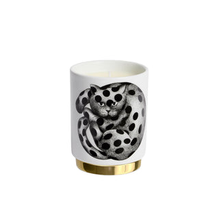High Fidelity a Pois Candela Immaginazione - Fornasetti