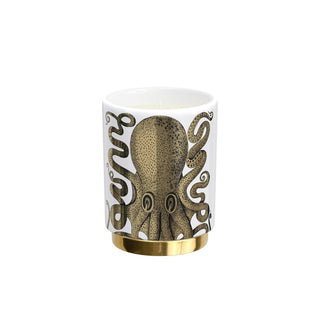 Polipo Candle Fragrance Immaginazione - Fornasetti