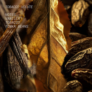 Tobacco Volute Hair and Body Mist- L'Atelier Parfum