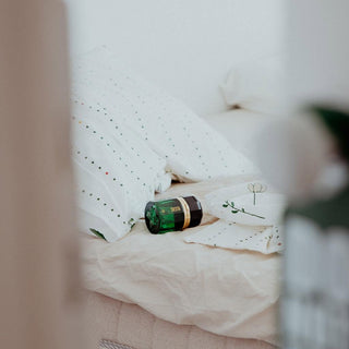 Siesta - Ramon Monegal