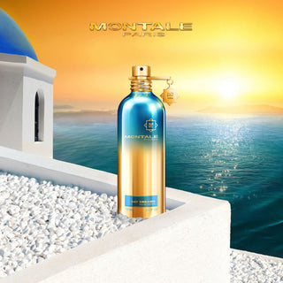 Day Dreams – Montale Paris