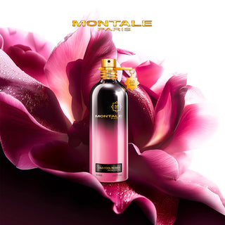 Oud Fool Roses - Montale Paris