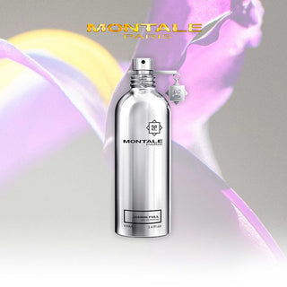 Jasmine Full - Montale Paris