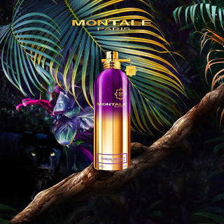 Sensual Instinct - Montale Paris