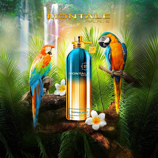 Tropical Wood - Montale Paris