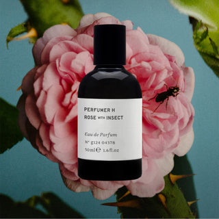 Rose With insect - Perfumer H