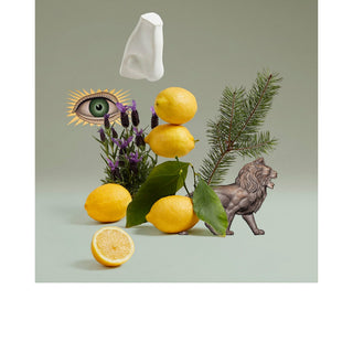 Blenheim Bouquet Edt - Penhaligon's - Campomarzio70