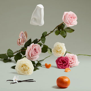 Duchess Rose Edp - Penhaligon's