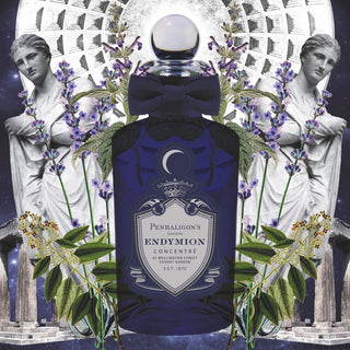Endymion Concentré - Penhaligon's