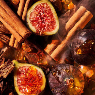 Amber Aoud Parfum - Roja Parfums