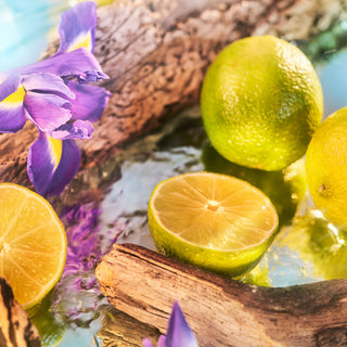 Oceania Parfum - Roja Parfums