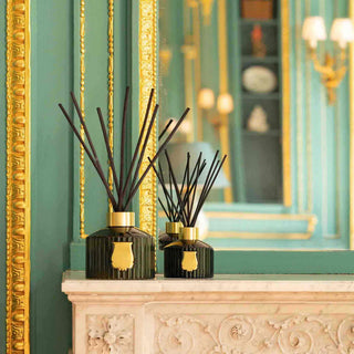 Abd el Kader The Great Diffuser - Trudon