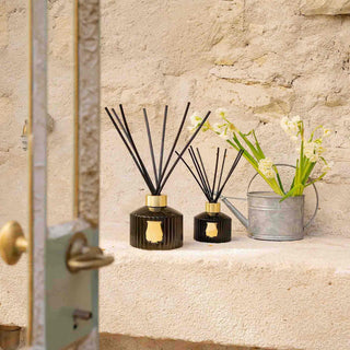 Ernesto The Great Diffuser - Trudon