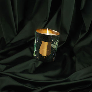 Fir Bougie Natale 2025 - Trudon