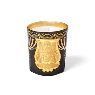Fir Bougie Natale 2024 - Trudon