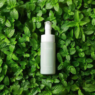 Intimate Foaming Wash - Waphyto