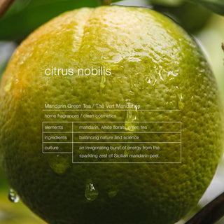 Citrus Nobilis Purifying Body Wash - Zenology