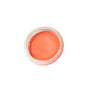 07 Coral Stellar