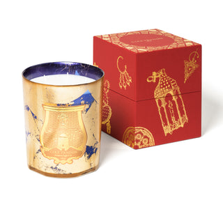 Fir Christmas 2020 - Trudon - Campomarzio70