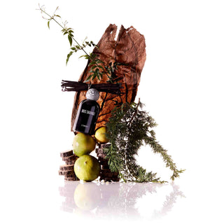 Bois Sauvage EDP - L'Objet - Campomarzio70