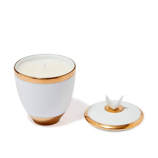 Butterfly Candle - L'Objet - Campomarzio70