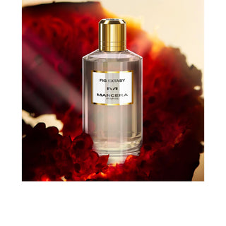 Fig Extasy - Mancera - Campomarzio70