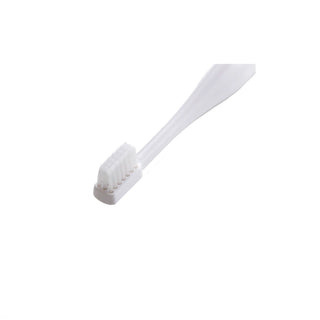 The Toothbrush - Misoka - Campomarzio70