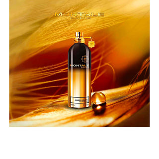 Amber Musk - Montale Paris - Campomarzio70