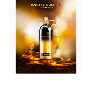 Aoud Night - Montale Paris - Campomarzio70