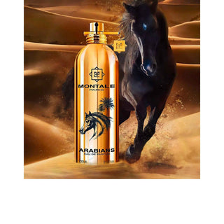 Arabians - Montale Paris - Campomarzio70