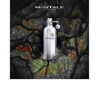 Black Musk - Montale Paris - Campomarzio70