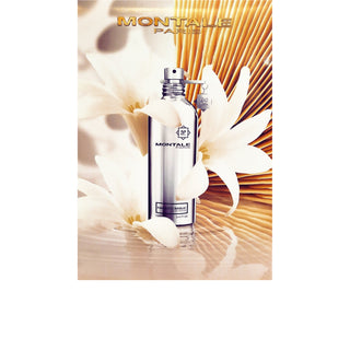 Fantastic Basilic - Montale Paris - Campomarzio70