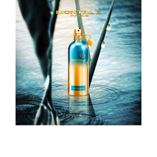 Herbal Aquatica - Montale Paris - Campomarzio70