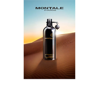 Oud Edition - Montale Paris - Campomarzio70