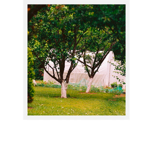 8 M² Candle - Ormaie - Campomarzio70