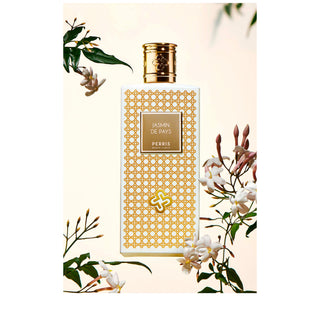 Jasmin de Pays - Perris - Campomarzio70