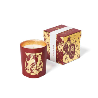 Terre à Terre Bougie - Trudon - Campomarzio70